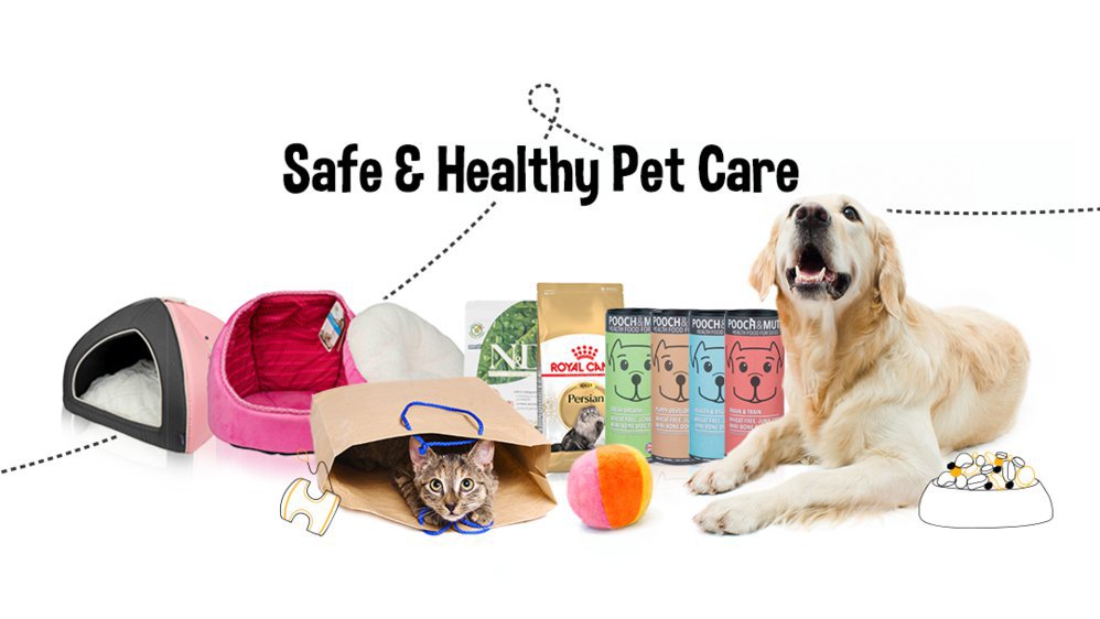 Переведи на русский pets. Pet Supplies. Chewy зоотовары. Darling Pet Pet Supplies. 2022 Best Pet products.