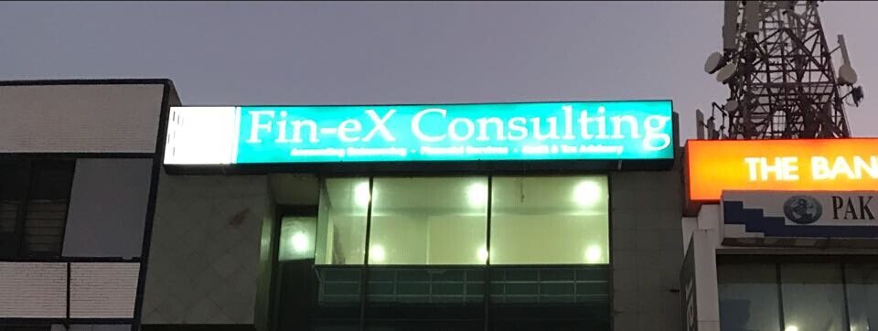 Fin-eX Consulting cover