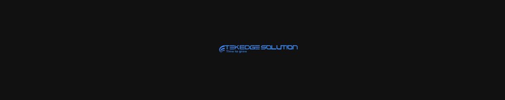TekEdge Solution, Inc. cover
