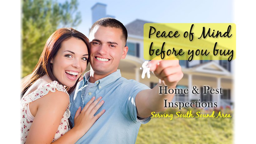 Olympia Home Inspector Services  cover