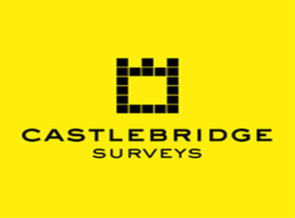 Castlebridge Surveys - Building Inspections cover