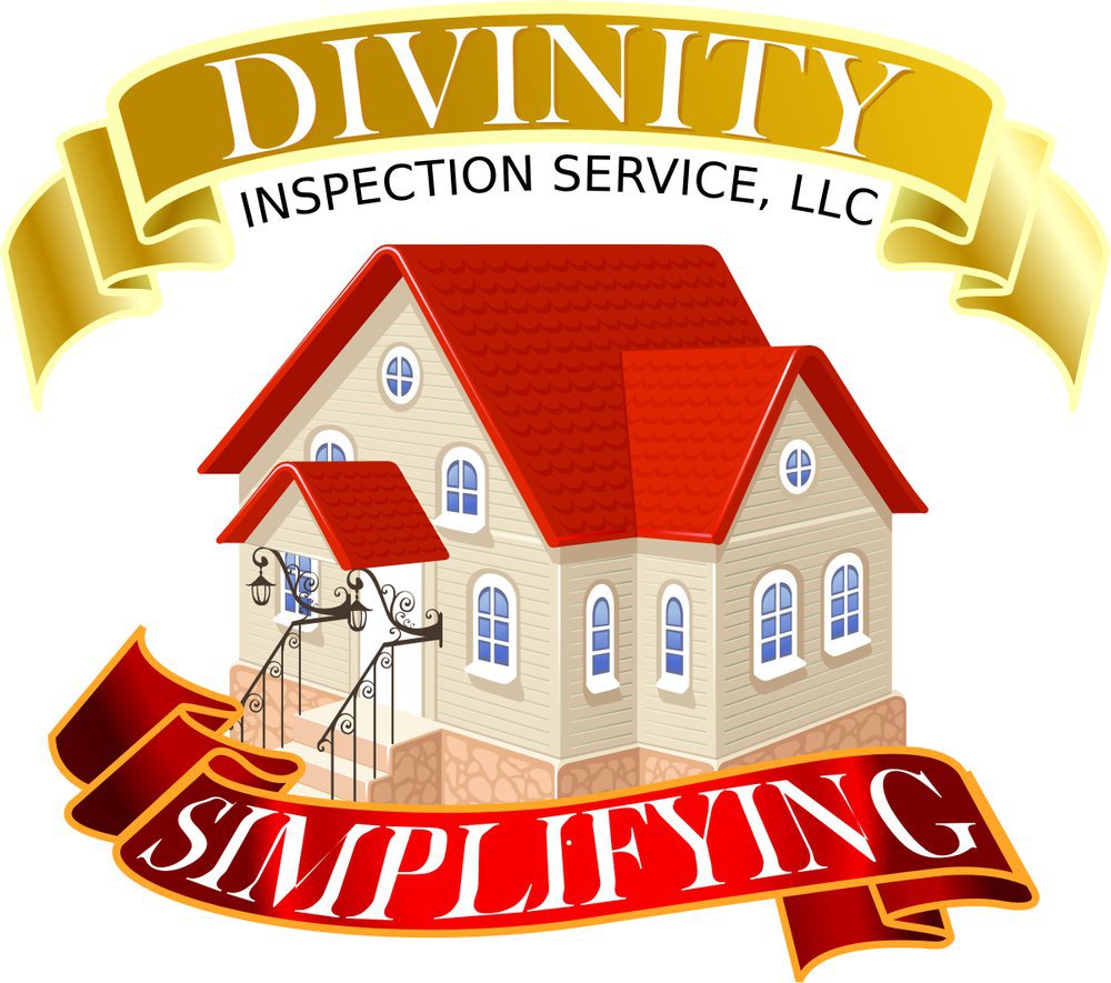 Divinity Inspection Service cover