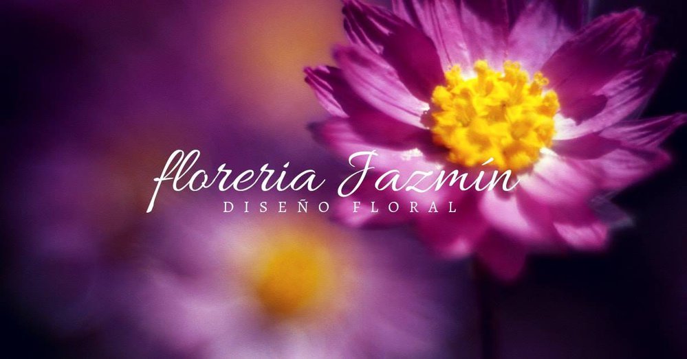 Florería Jazmín cover