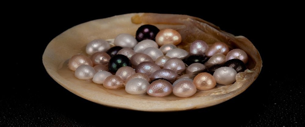 Akuna Pearls cover