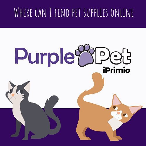 Purple Pet cover