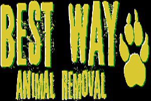 Best Way Animal Removal cover