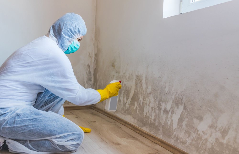 Mold Experts of Boston cover