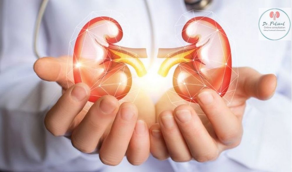 Kidney Failure Treatment In Homoeopathy By Paliwal Homoeopathy cover