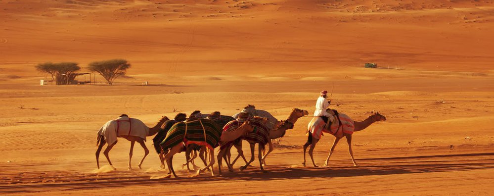 Desert Safari Ras Al Khaimah cover