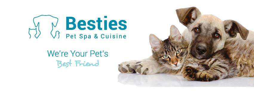 Besties Pet Spa & Cuisine cover