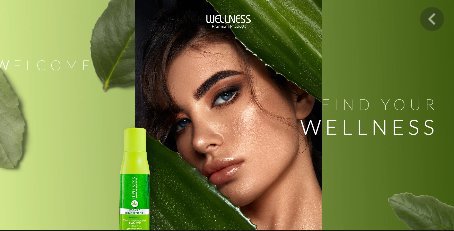 Wellness Premium Products cover