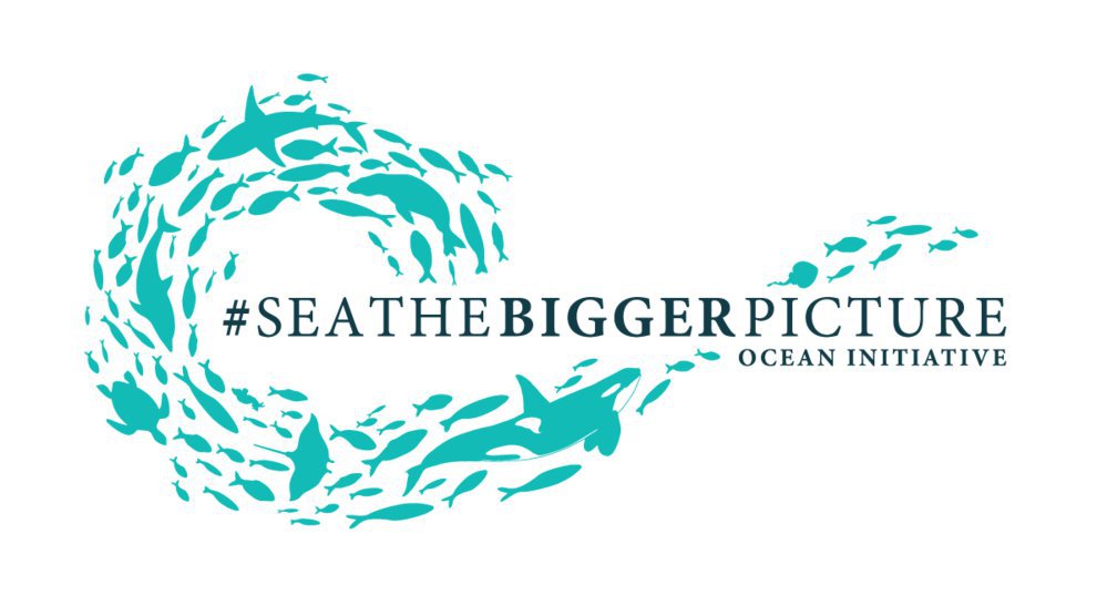 Sea The Bigger Picture cover