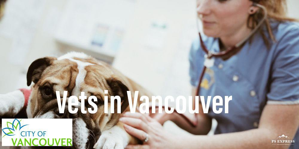 Vancouver vets cover