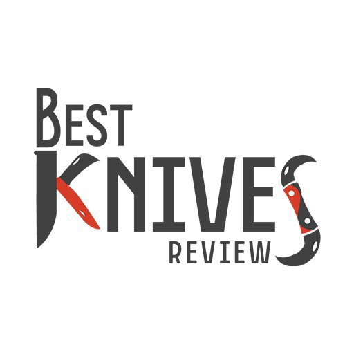 Best Knives Reviews cover