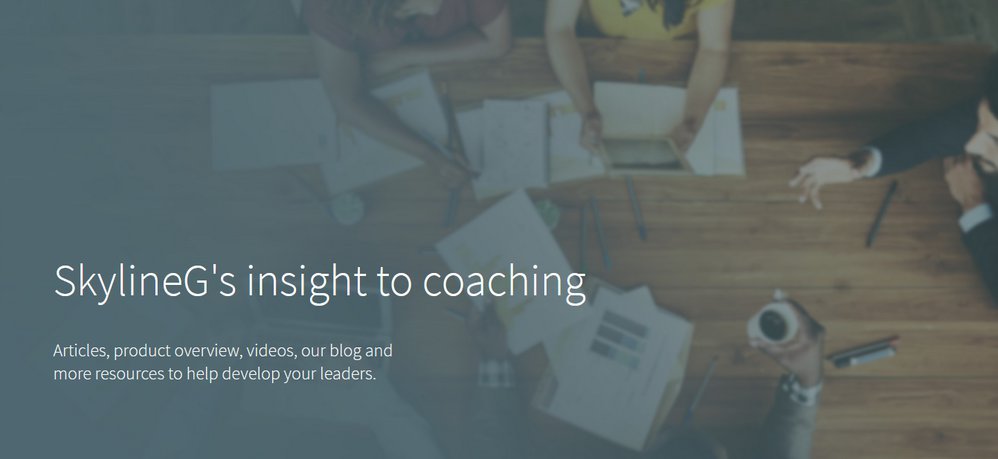 Skyline G - Executive Coaching & Leadership Development cover
