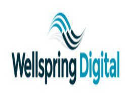 Wellspring Digital cover