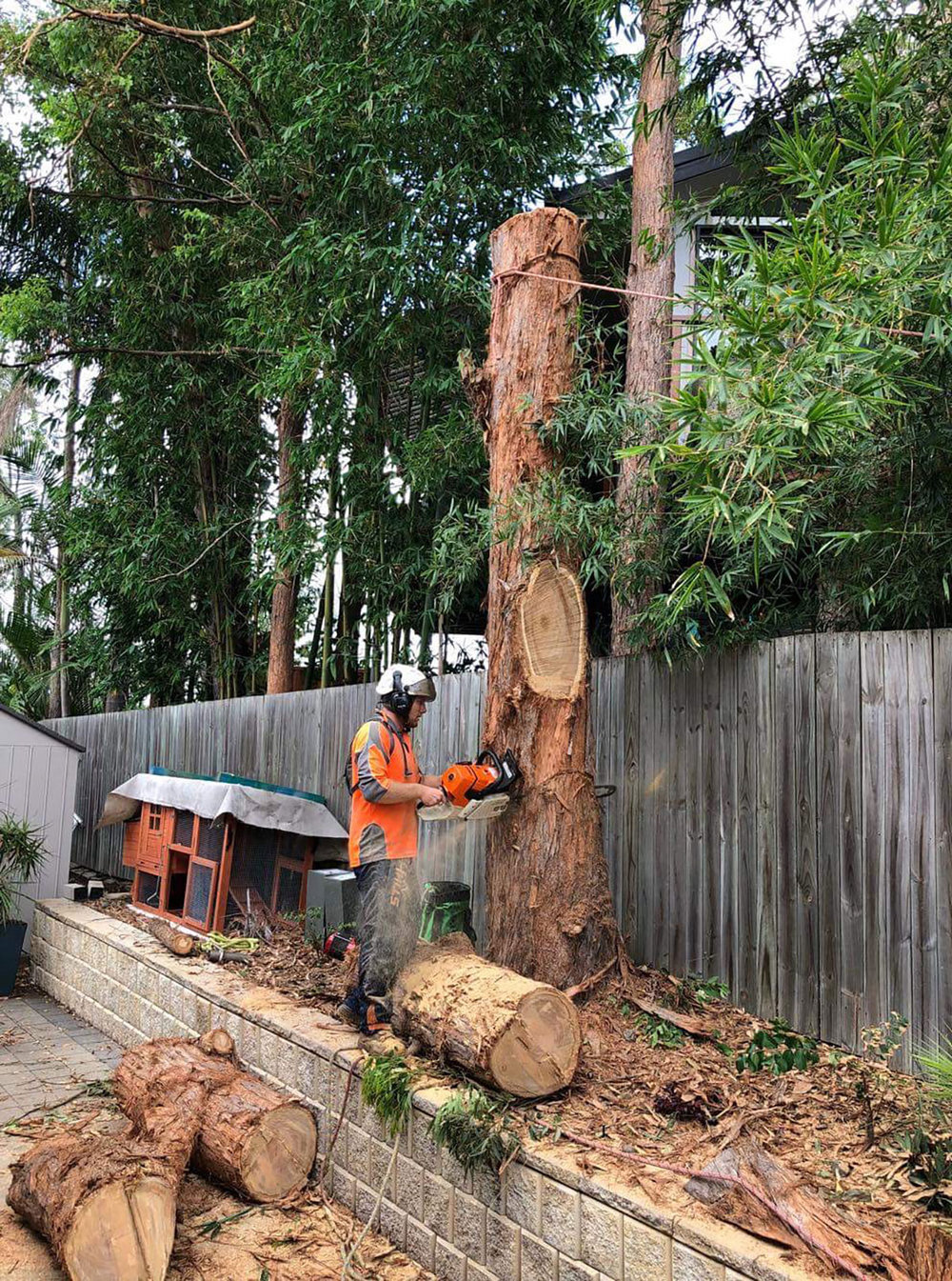 Arborspec - Arborist Services in Queensland and New South Wales cover