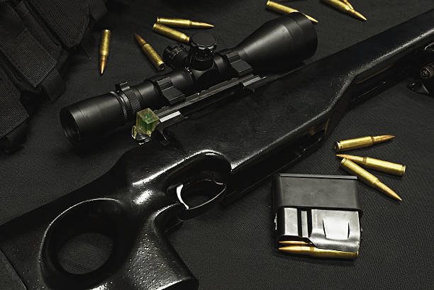 Guns, Ammo & Accessories Inc cover