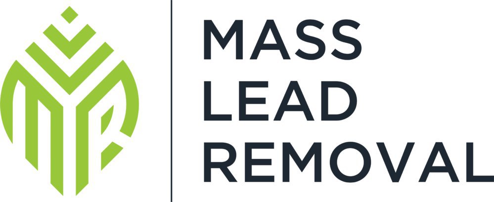 MASS LEAD REMOVAL cover