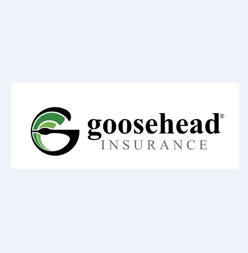 Goosehead Insurance - Ali Shah cover