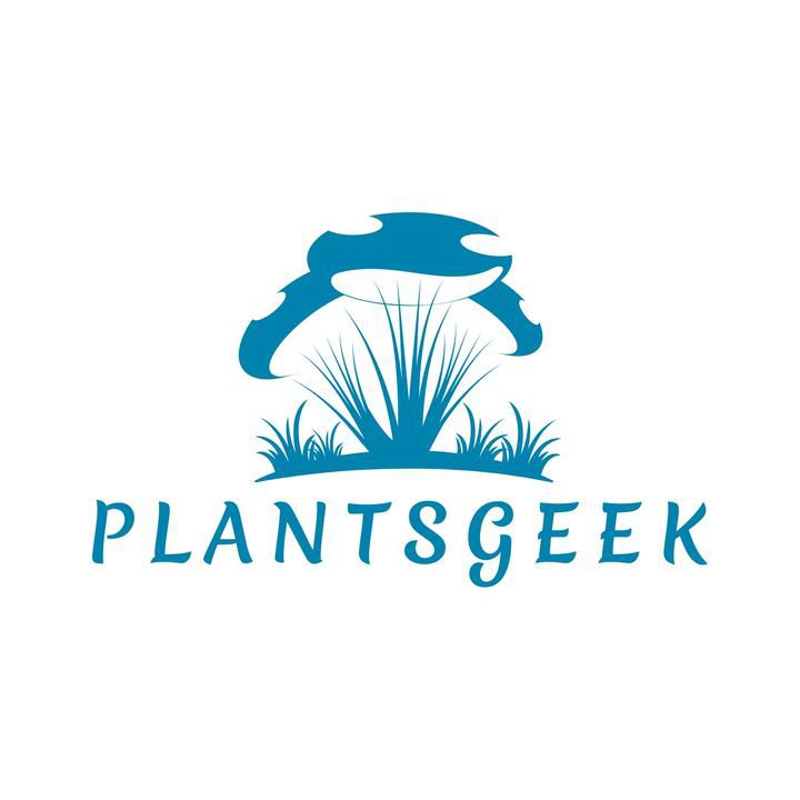 Shiitake-Zuchtset (Substratblock) kaufen bei PlantsGeek! cover