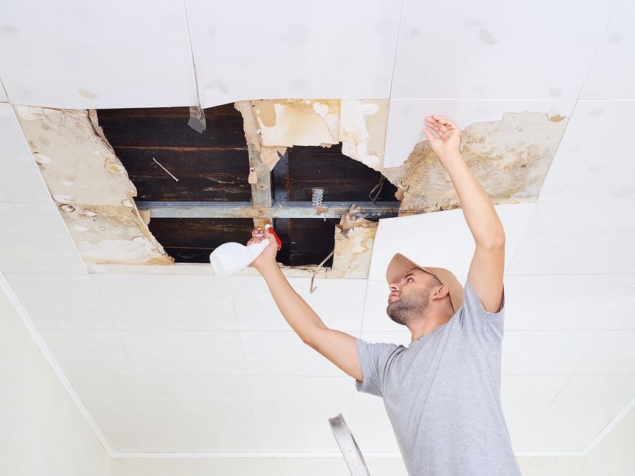 Water Damage Restoration Long Island Pros cover