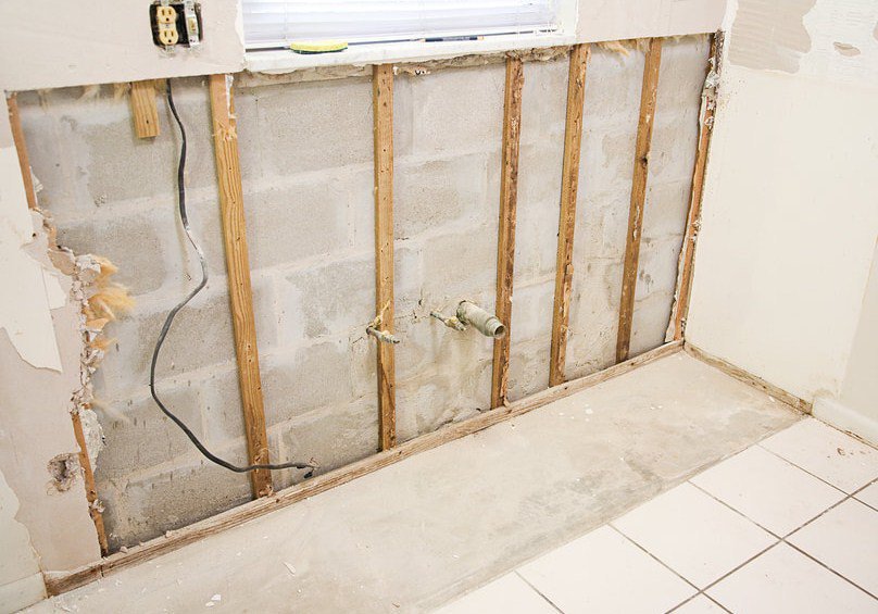 GIGANTIC Mold Remediation cover