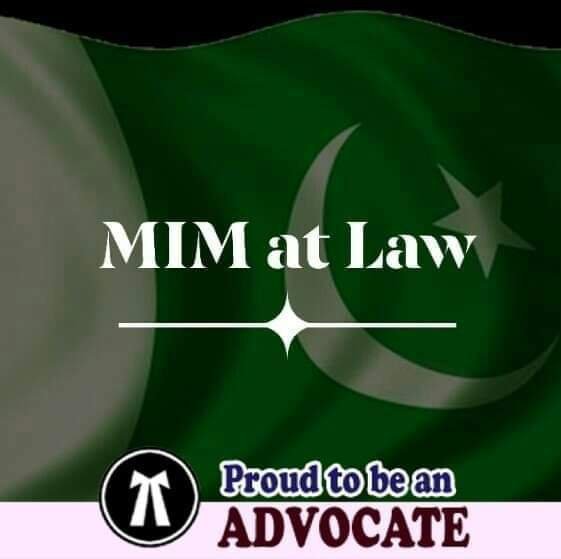 MIM AT LAW cover