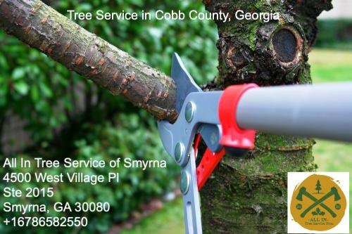 All In Tree Service of Smyrna cover