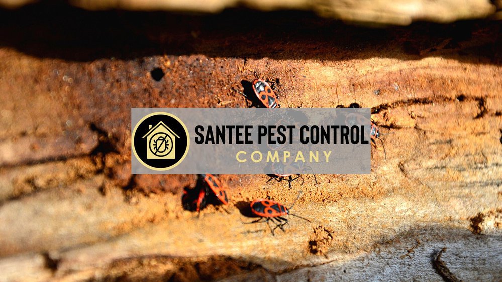 Santee Pest Control Company cover