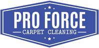 Pro Force Carpet Cleaning