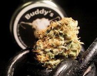 Buddy's Cannabis
