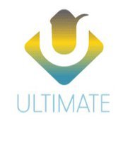 ULTIMATE WEB DESIGNS LIMITED