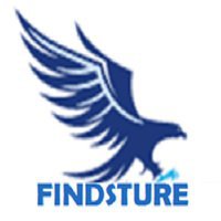 findsture -  SEO Company