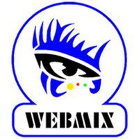 WEBMIX NETWORKS SEO