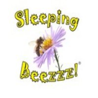 Sleeping Beezzz! Honey LLC