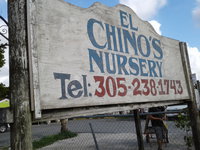 El Chino Nursery