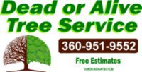 Dead Or Alive Tree Service