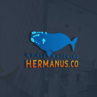 Whale Watching Hermanus