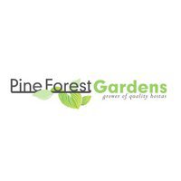 Pine Forest Gardens