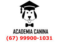 Adestramento Adestrador de cães em Campo Grande MS