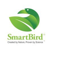 Smart Bird