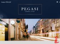 Pegasi Management Company 