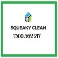 Squeaky Clean Carpet