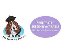 Leicester Dog Grooming Courses