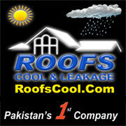Roof Leakage Waterproofing Treatment and Heat Proofing