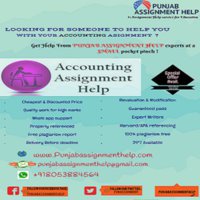 Punjab Assignment help