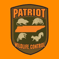 Patriot Wildlife Control