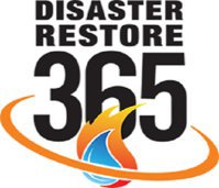 Disaster Restore 365
