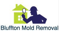 Bluffton Mold Removal and Testing